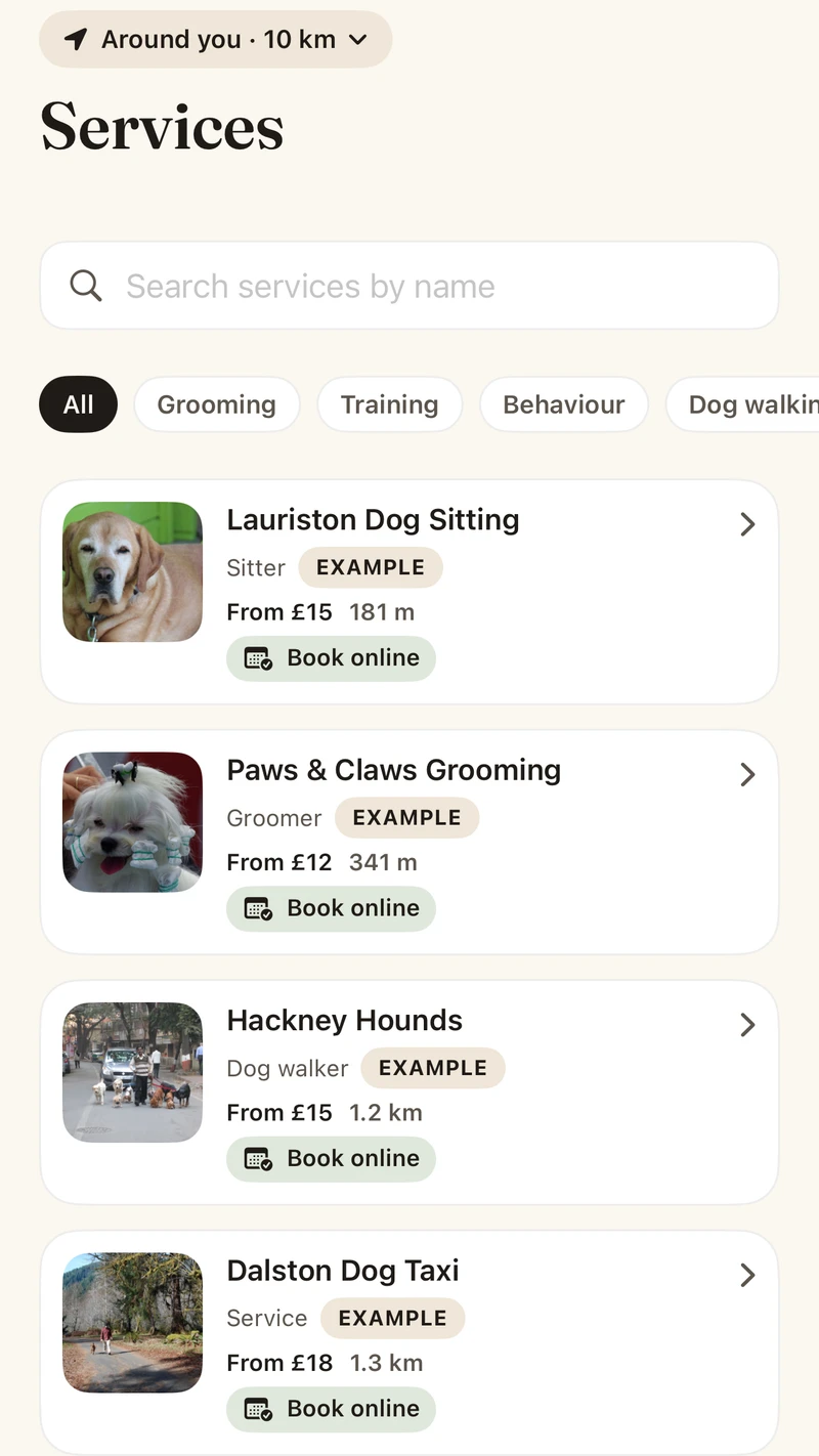 The Services screen: category filters and a list of example businesses with prices, distances and Book online.